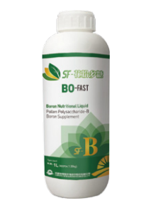 Bo-Fast