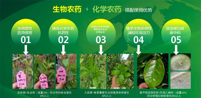 新朝陽(yáng)在第六屆中國(guó)農(nóng)藥行業(yè)市場(chǎng)和銷售高峰論壇做“生物農(nóng)藥+化學(xué)農(nóng)藥，引領(lǐng)植保市場(chǎng)未來(lái)”主題報(bào)告