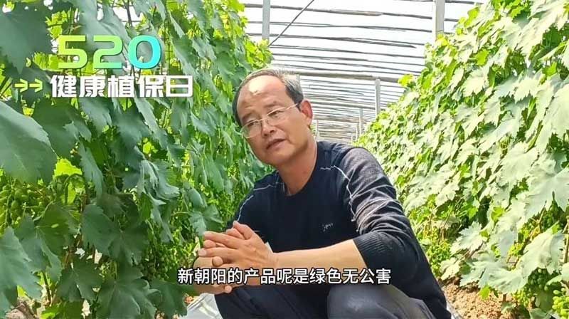 520健康植保日——擁抱綠色農(nóng)業(yè)，我們?cè)谛袆?dòng)