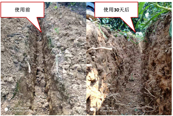 “土壤板結(jié)克星”：土壤調(diào)理劑你了解多少？